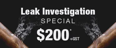 Leak Investigation Discount Narrow Neck